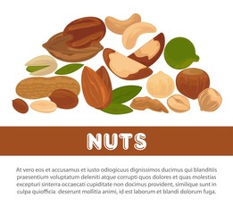 Nuts organic nutrition and raw diet information poster design template.