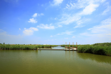 Landscape of wetlands