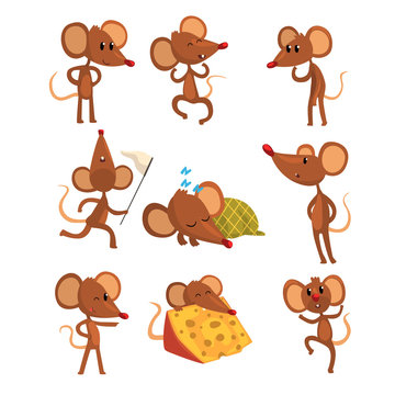 Set of cartoon mouse character in different actions. Running with sweep-net, sleeping, eating cheese, jumping, winking eye. Little brown rodent. Flat vector design