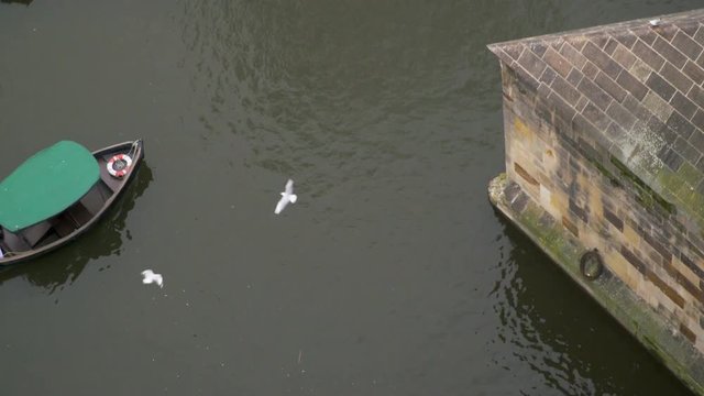 View From Above To floating boat anf gull flying above
