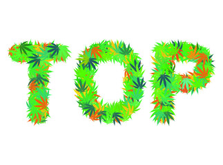 TOP word isolated on the white background made from cannabis leaves