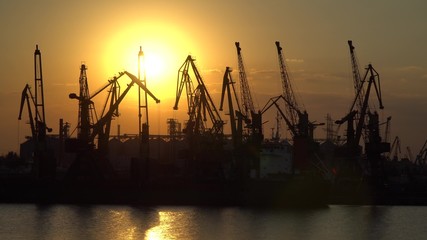 Obraz premium The outlines of the cranes in the harbor against the setting sun.