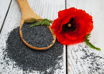 Poppy seeds and flowers