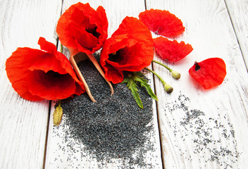 Fototapeta na wymiar Poppy seeds and flowers