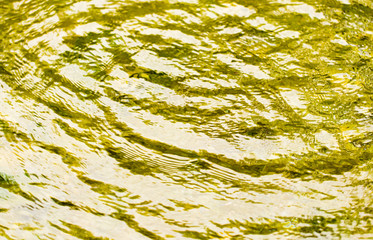 Circles on the smooth surface of the water on the river