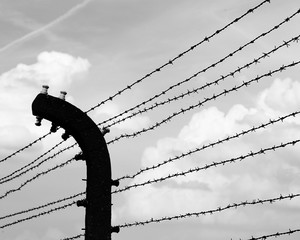 barbed wire with black and white photograph effect