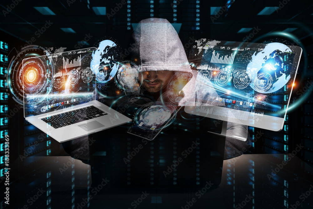 Leinwandbilder Hacker accessing to personal data information with a computer 3D rendering