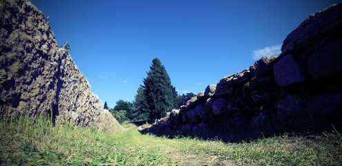 mountain mule track in summer