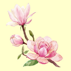 Watercolor magnolia floral vector composition