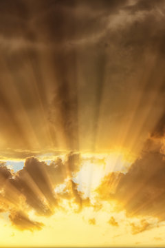 Bright rays of the sun