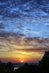 In the evening, see the red sun beside the shade of trees.