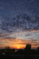 In the evening, see the red sun beside the shade of trees.