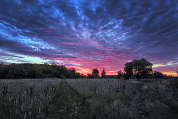 Obraz na płótnie Canvas landscape cumulus clouds over the field in the sunset