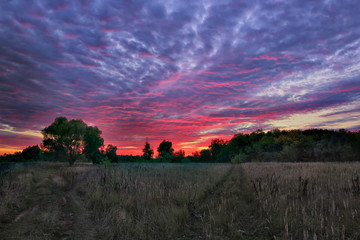 Fototapeta na wymiar landscape cumulus clouds over the field in the sunset