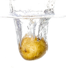 potatoes in water isolated on white background