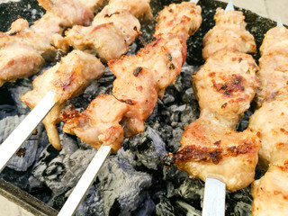 Shish kebab on metal sticks roasted on the grill