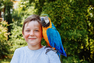  A child with a parrot Ara on his shoulder