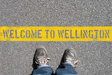 Ein Mann steht vor Wellington in Neuseeland  © studio v-zwoelf