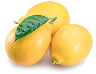 Ripe lemon fruits with lemon leaf on the white background.