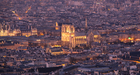 Notre dame de Paris at night, France.