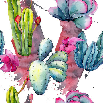 Exotic wildflower cactus pattern in a watercolor style. Full name of the plant: cactus. Aquarelle wild flower for background, texture, wrapper pattern, frame or border.
