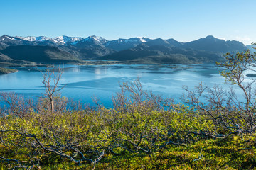 Fototapeta na wymiar Norwegian fjord ,island Senja