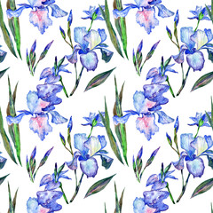 Wildflower iris  flower pattern in a watercolor style. Full name of the plant: iris. Aquarelle wild flower for background, texture, wrapper pattern, frame or border.