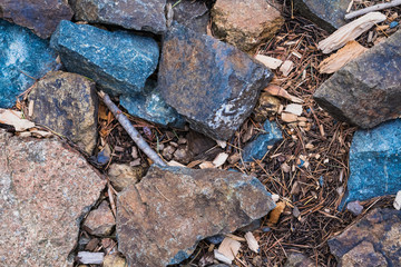 Stones in forest