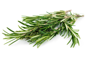 Fresh rosemary leaves isolated on white background cutout