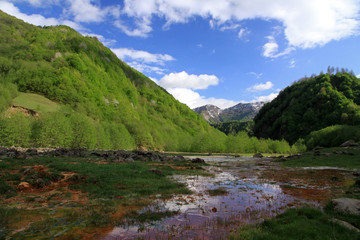 Fototapeta na wymiar Aragvi river valley, Caucasus, Georgia