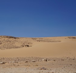 Sand dunes in Arava desert, South Israel