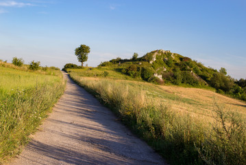 Fototapeta na wymiar Rural landscape with a road