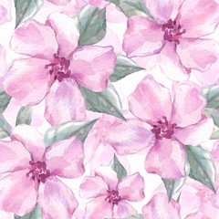 Floral seamless pattern 4. Watercolor background with delicate flowers