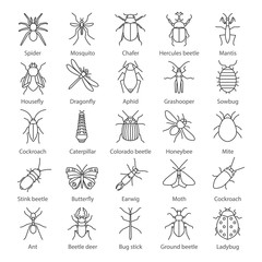 Fototapeta na wymiar Insects linear icons set