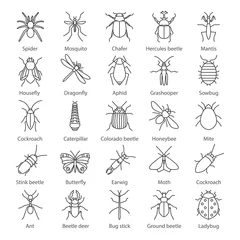 Foto op Plexiglas Insects linear icons set © bsd studio