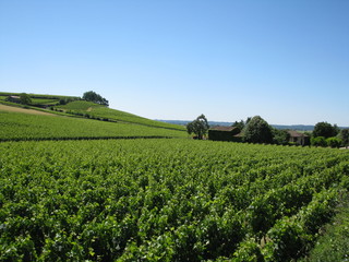 Saint-Émilion - France