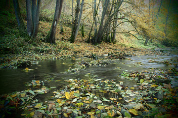 Die Schandtauber bei Rothenburg ob der Tauber