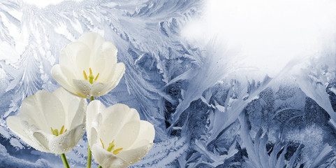 flowers on  frosty pattern on glass