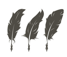 set of three isolated feathers for writing