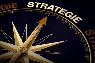 3d Kompass Strategie