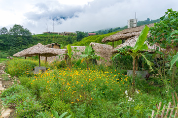 Picturesque straw covered huts and green garden