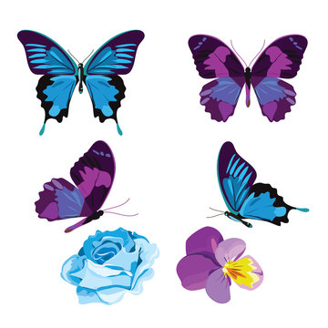 Set collection of blue and violet butterflies and flowers isolated on white background. Vector illustration