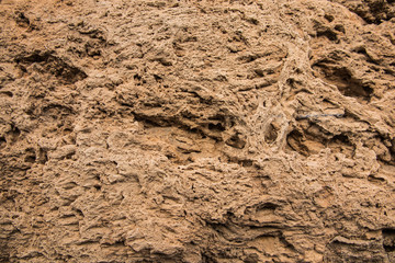 Hard mud texture