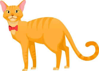 red cat with red butterfly, vector