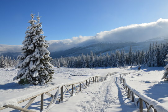 Karkonosze