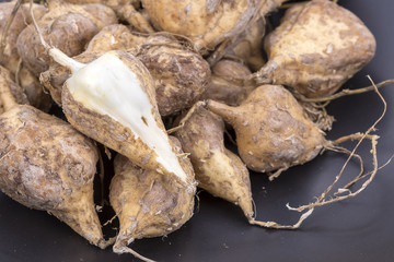 Yam Bean or Jicama peeled on black dish