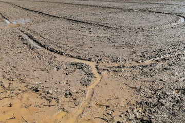 soil mud in rice field prepare for plant rice in agriculture