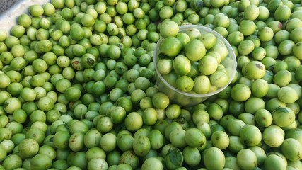 Umbú