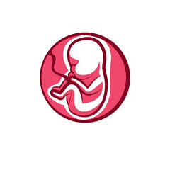 Human fetus hand-drawn vector illustration isolated on white. New life conceptual symbol.