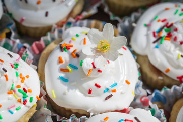 Easter cupcakes in a spring forest